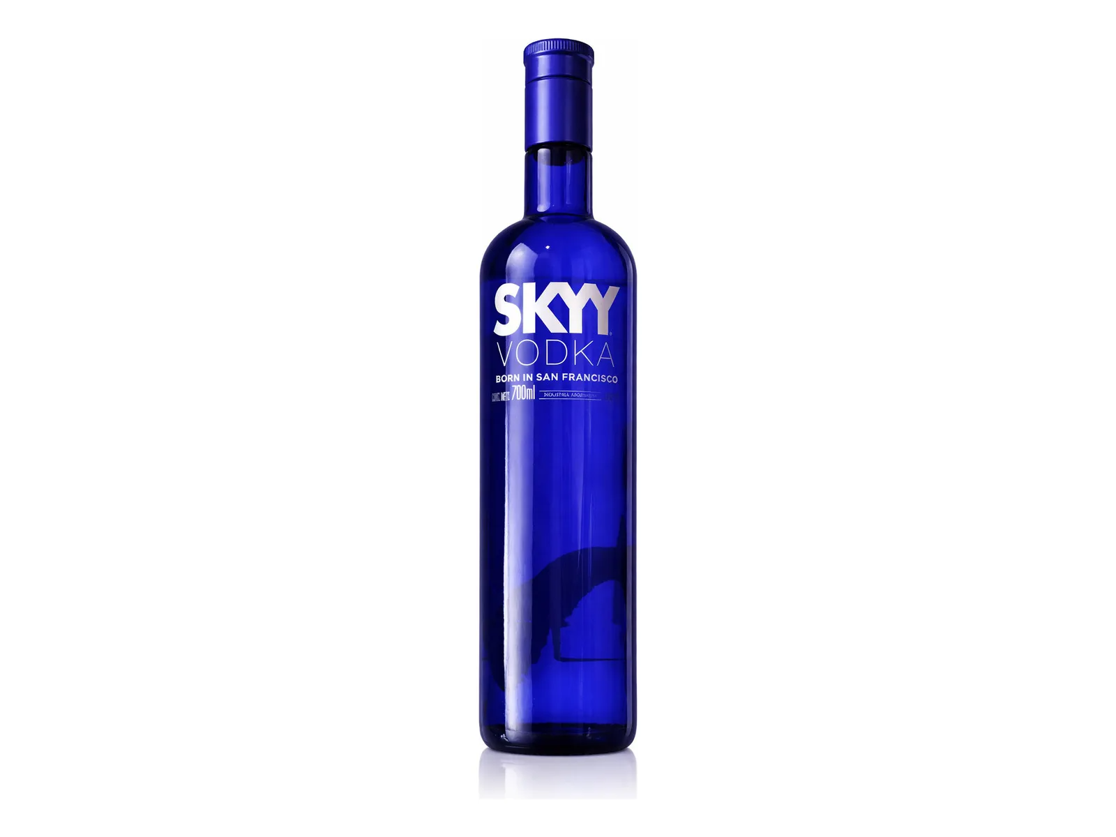 SKYY COMUN X CAJA