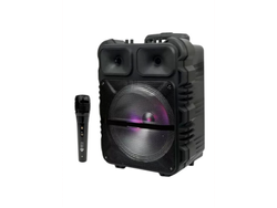 PARLANTE 12″JUPITER C/CARRO ORYX