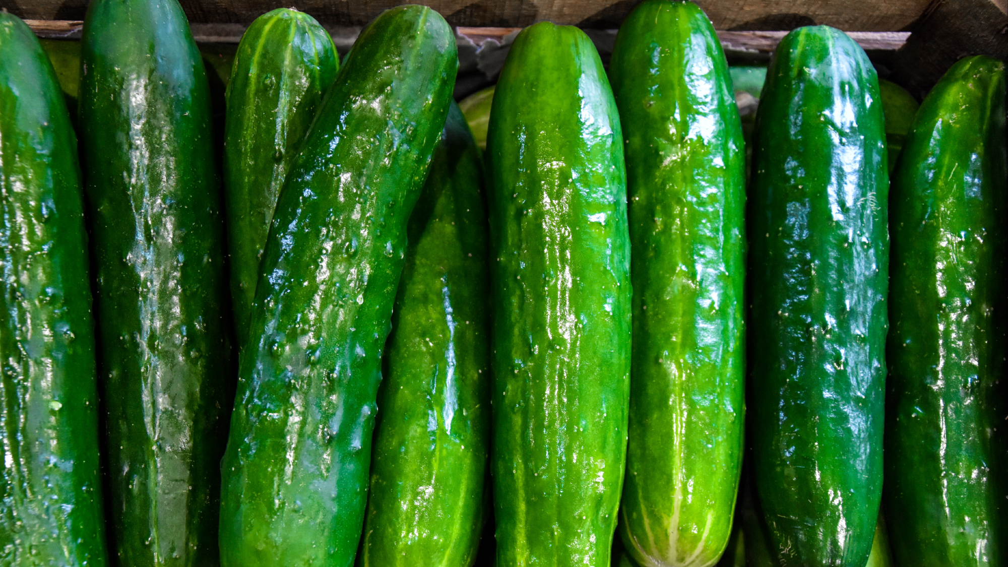 VERDURAS