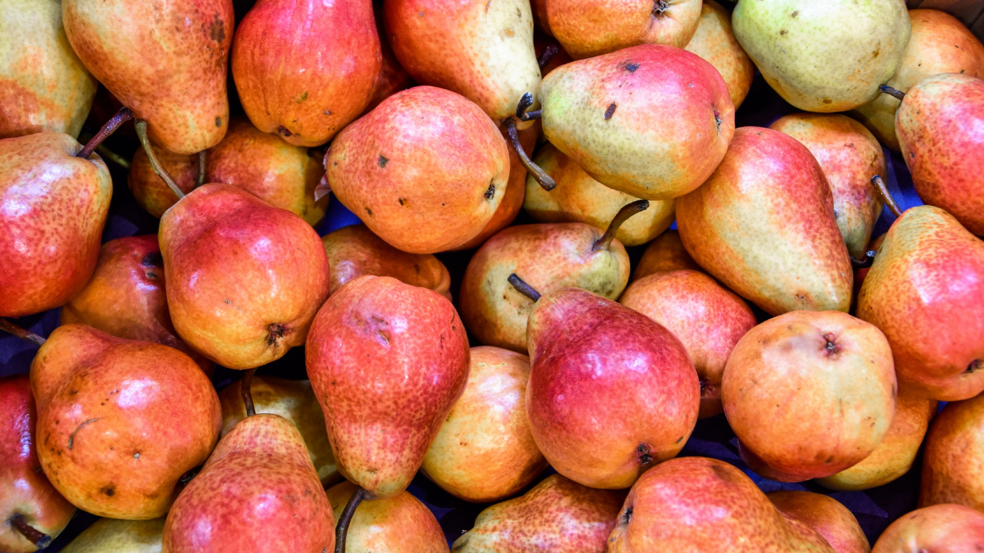 FRUTAS