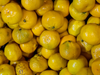 MANDARINA criolla