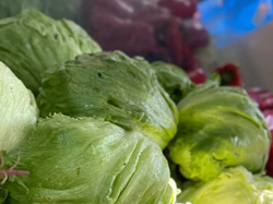 LECHUGA REPOLLADA