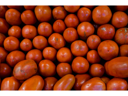 TOMATE PERITA