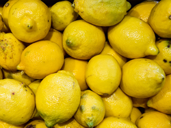 LIMÓN