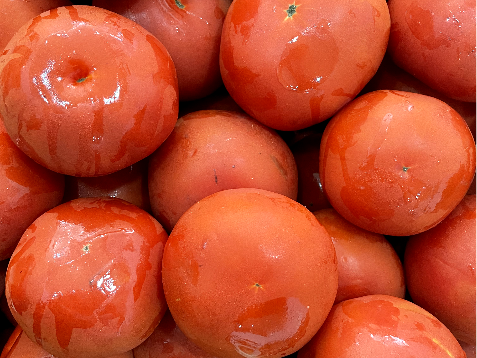 TOMATE