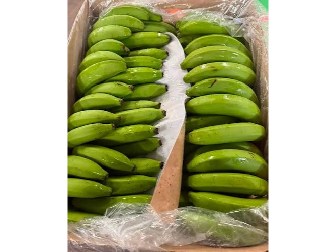 Banana de Salta oferta