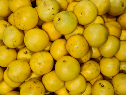 NARANJA JUGO
