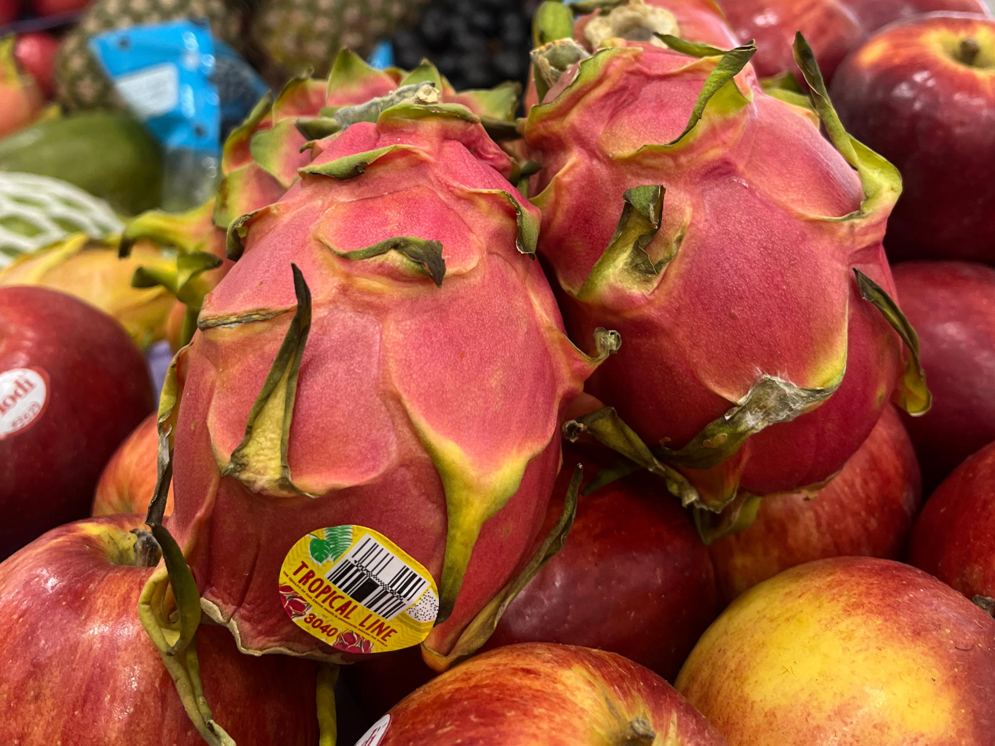 PITAHAYA ROJA
