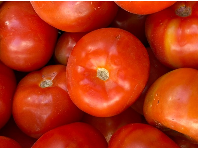 TOMATE REDONDO