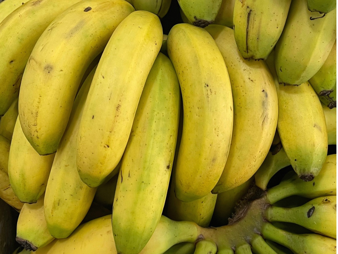 BANANA BOLIVIA