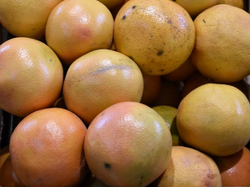 POMELO ROSADO