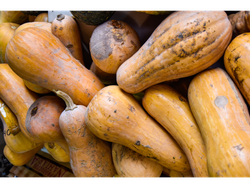 CALABAZA