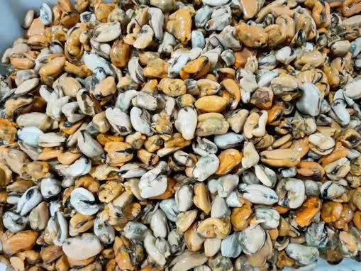 MEJILLONES