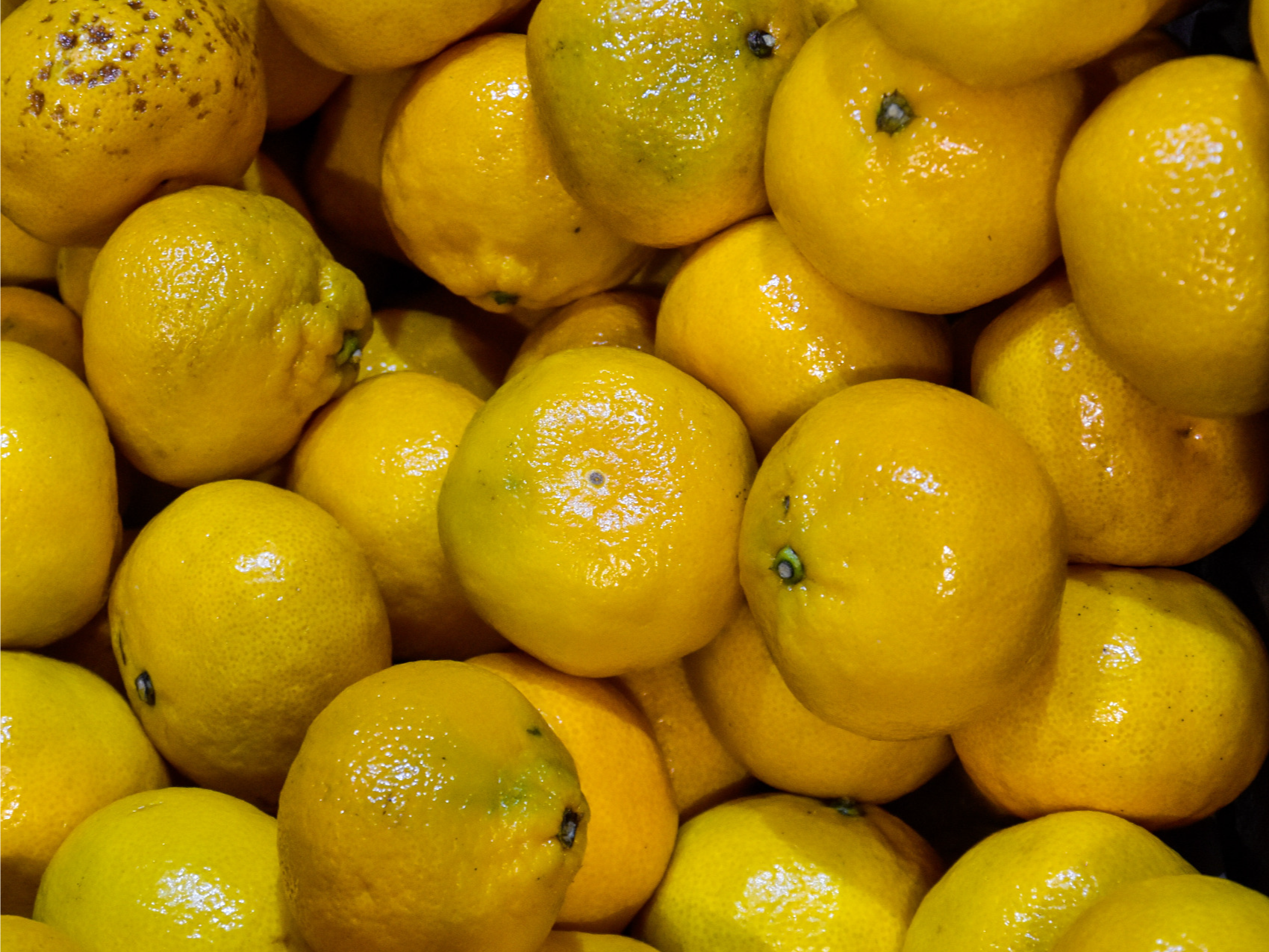 MANDARINA SIN SEMILLA