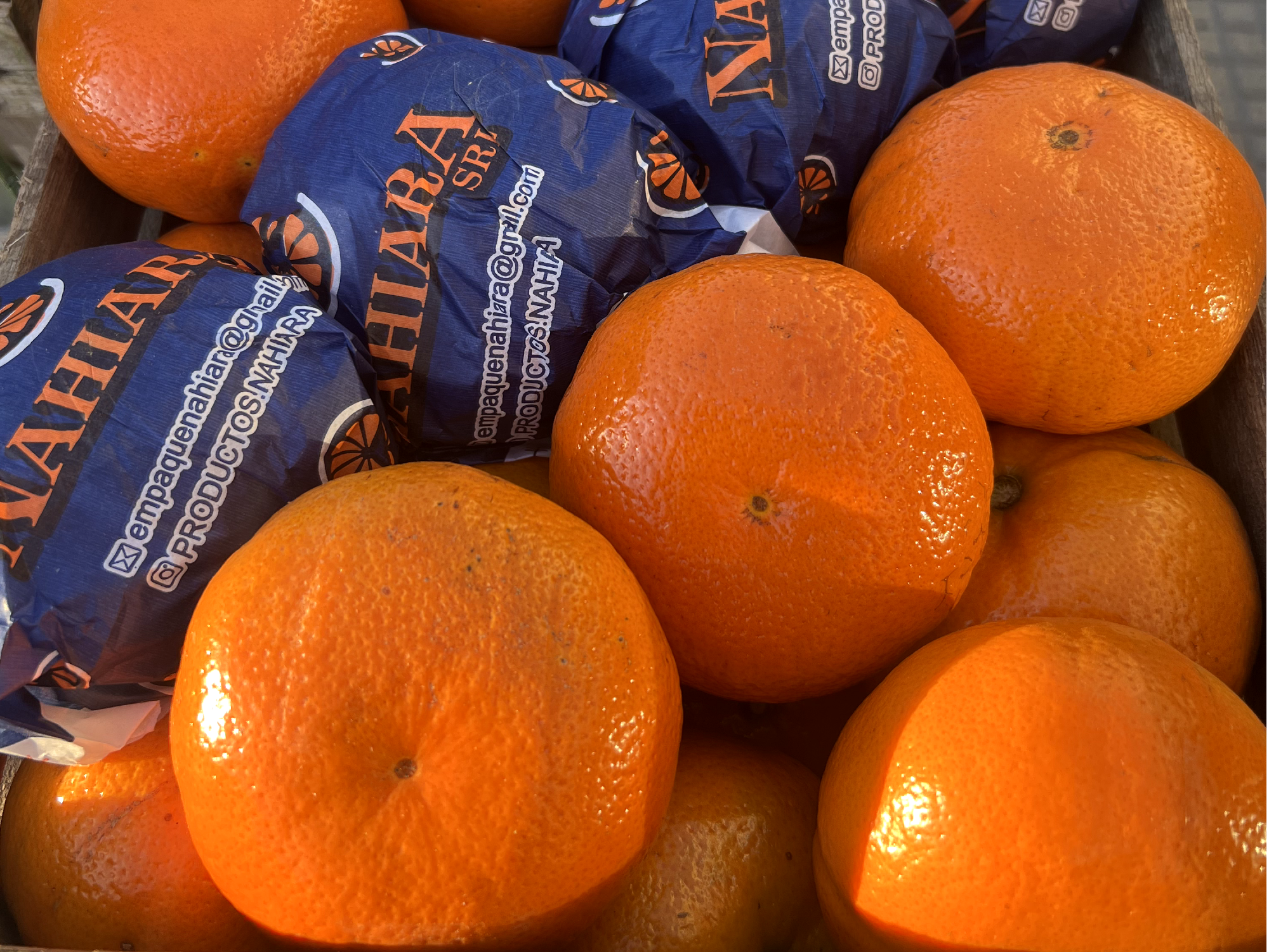 MANDARINA