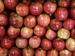 MANZANA RED ECO