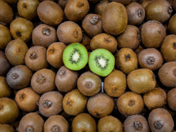 KIWI