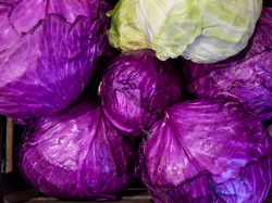 REPOLLO MORADO