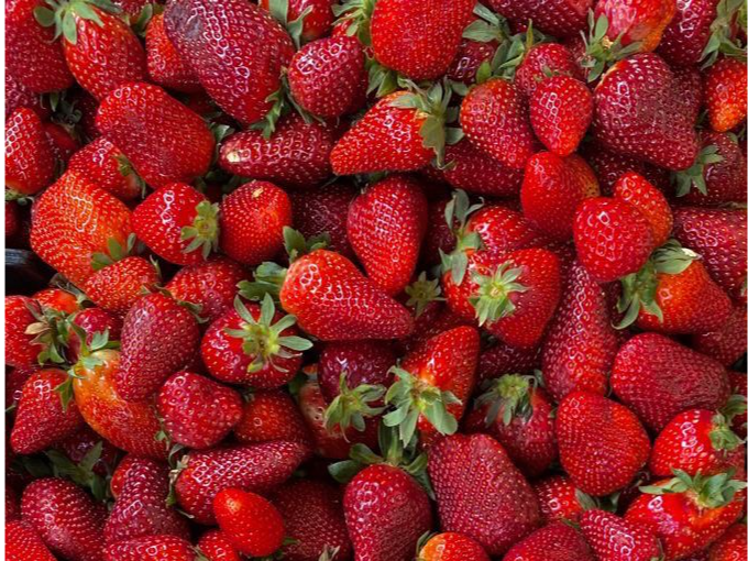 FRUTILLA