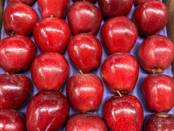 MANZANA RED DELICIUS CHILENA