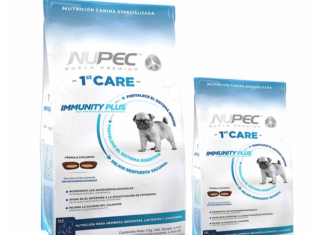 Hembras Gestantes y Perro Cachorro