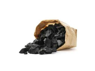 BOLSA DE CARBON GASTON