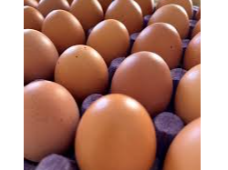 huevo mediano color!! 1.9kg