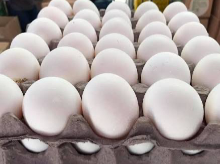 Huevo GRANDE  blanco x cajón!!