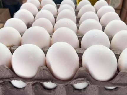 Huevo GRANDE blanco!! 2.2kg