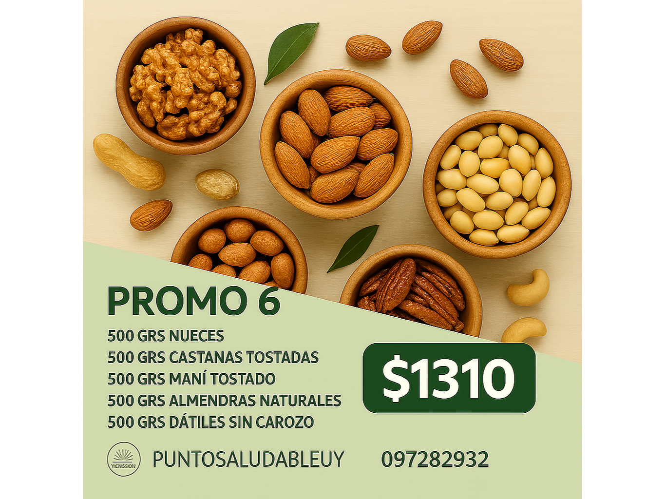 PROMO 6 $1310