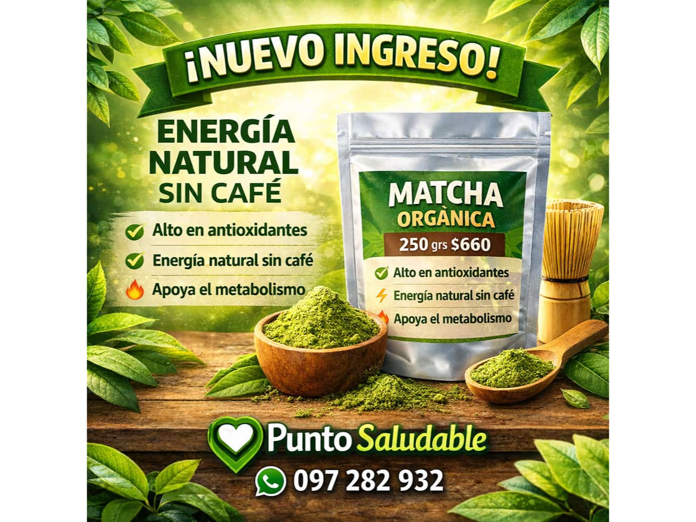 Matcha Organica 250gr
