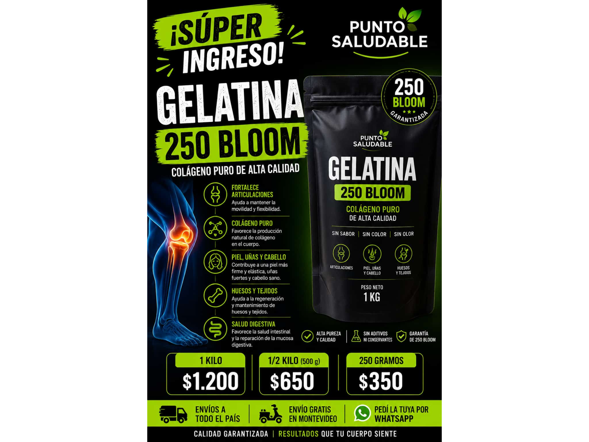 Gelatina 250 Bloom