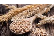 HARINA TRIGO ESPELTA 500 GRS