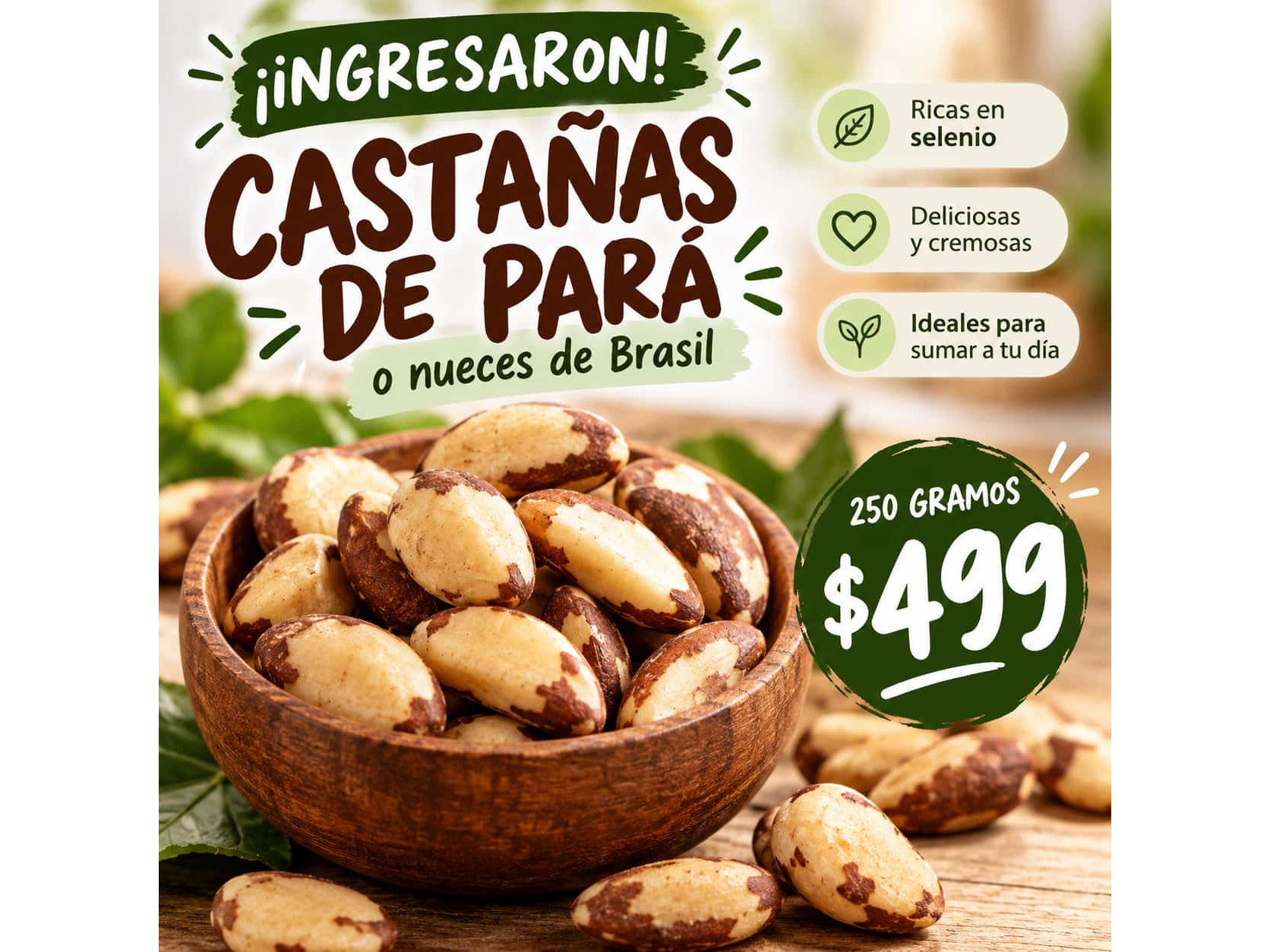 Castañas de Pará 250gr