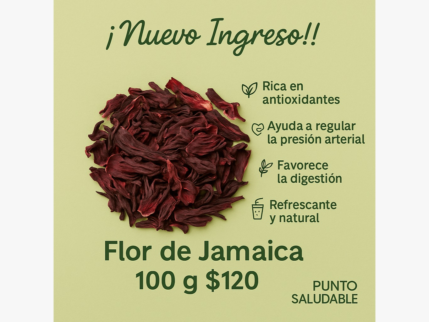 Flor de Jamaica 100gr