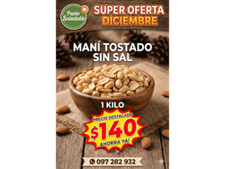 Mani tostado sin sal 1kg