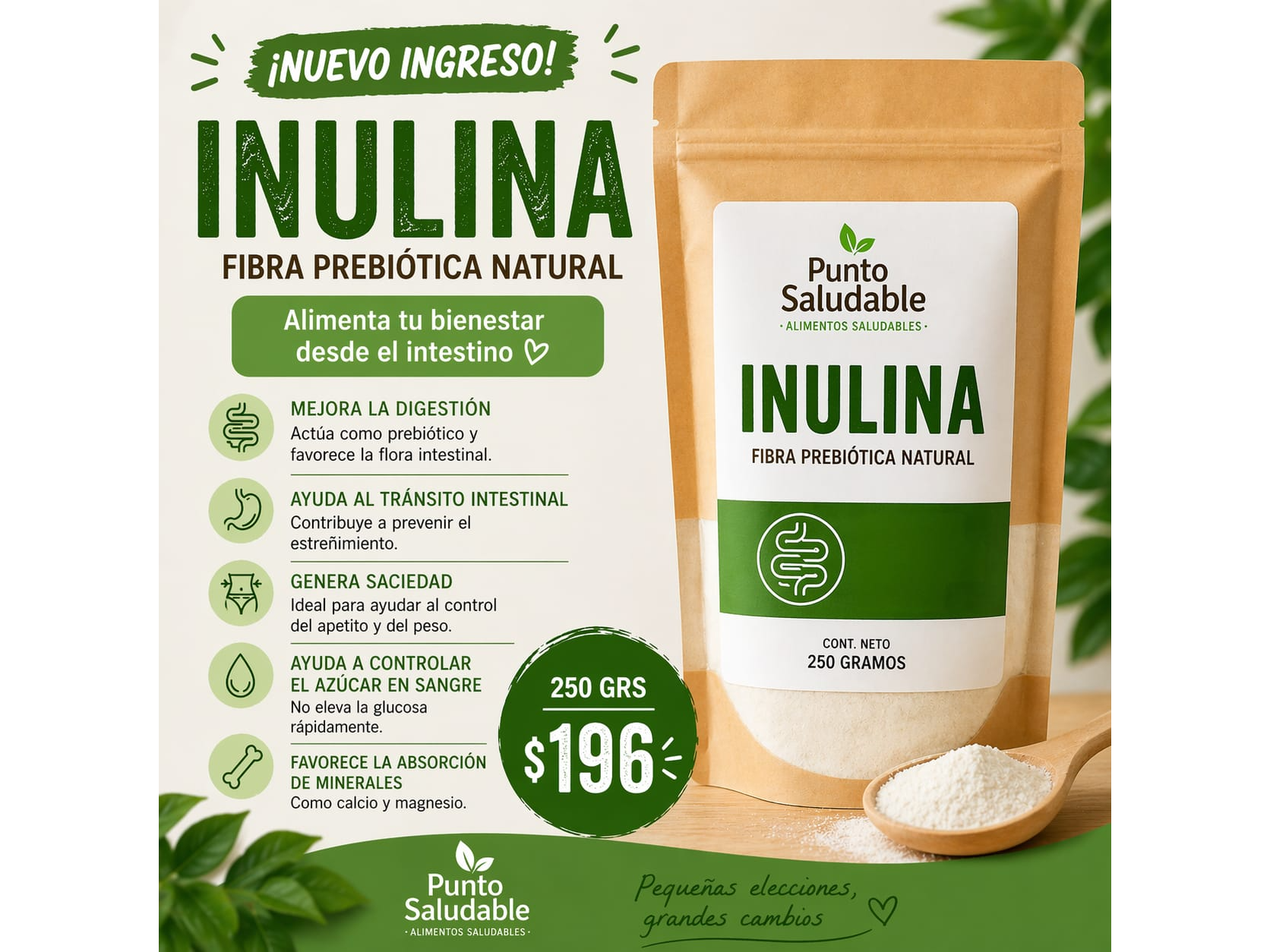 Inulina 250gr