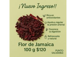 Flor de Jamaica 100 grs