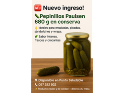 Pepinillos paulsen 680 grs