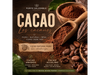 Cacao amargo no alcalino natural 100% puro