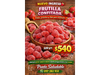 Frutilla Confitada 500gr