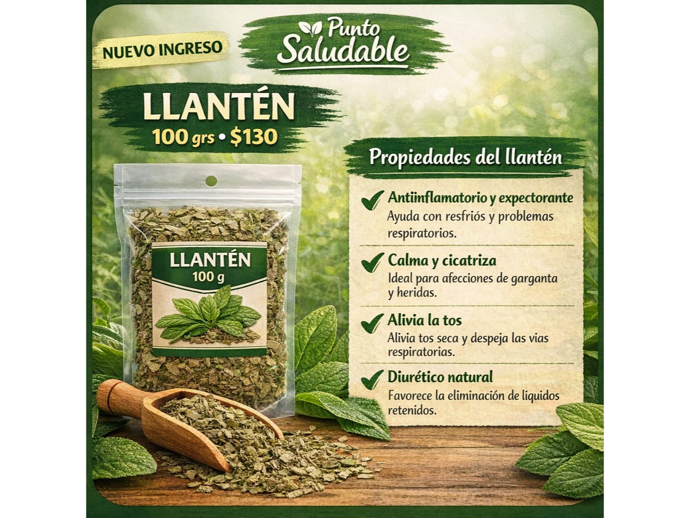 Llantén 100gr
