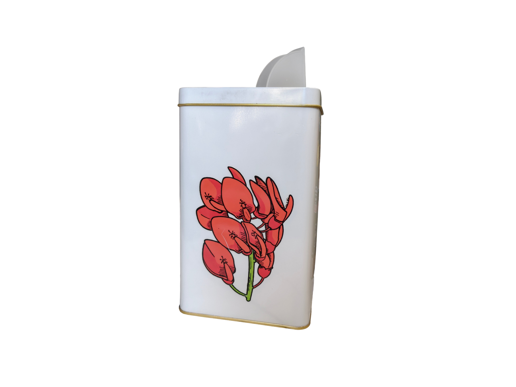 Flor de Ceibo