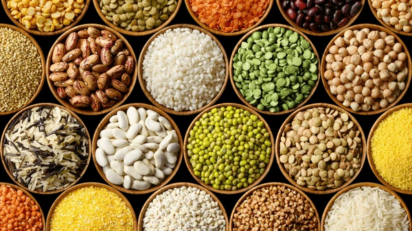 Cereales y Legumbres