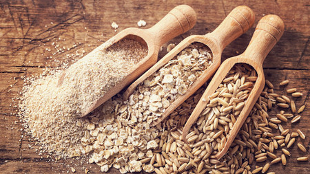 Fecula, Harinas, Premezclas y Rebozadores