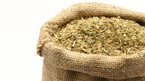 Yerba