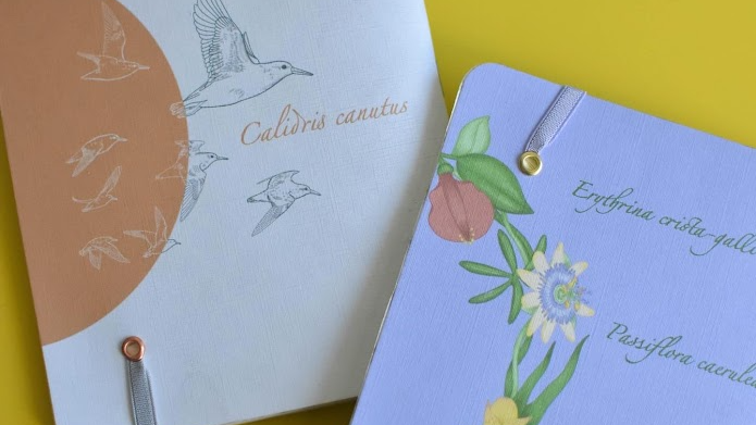 Libretas ilustradas