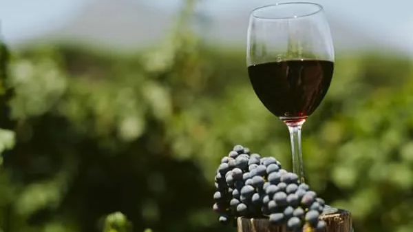 VINOS TINTOS