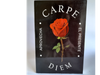 Carpe diem