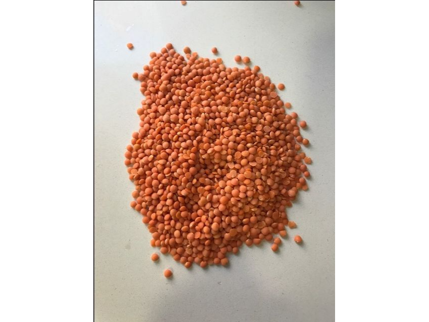 Lentejas turcas